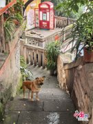 胜于后续才添加文旅功能