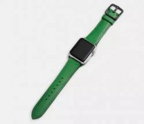 照老例苹果每年城市推出一次AppleWatch全新配色的